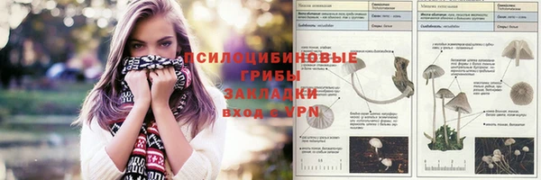 стафф Краснотурьинск