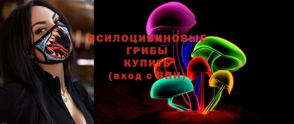 ешки Алзамай