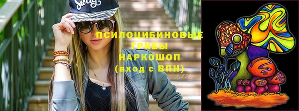 прущие крисы Арсеньев