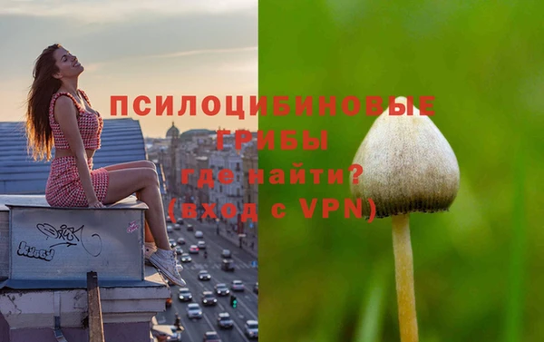 ешки Алзамай